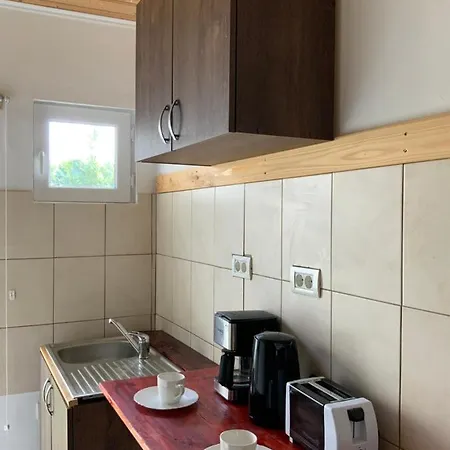 Apartment Vila Cristina Timisoara