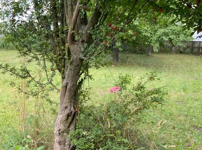 Apartamento Cristina Timisoara