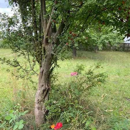 Lägenhet Cristina Timişoara